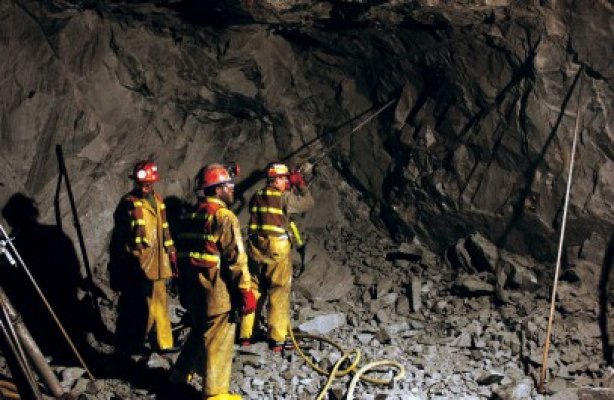 Vosganian: În maximum două săptămâni Guvernul va elabora actul normativ privind redeschiderea minelor